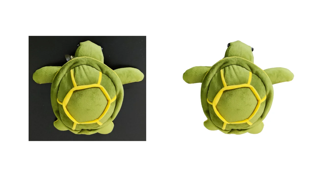 Background-Removal-innerslider-turtle